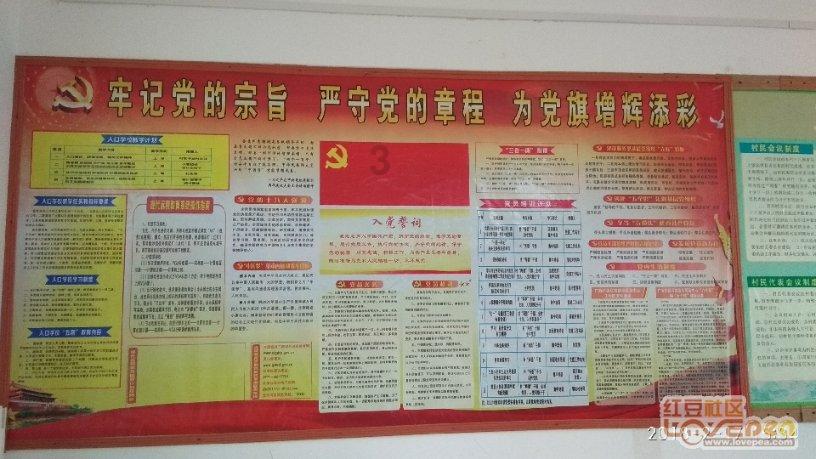 拯救树精灵