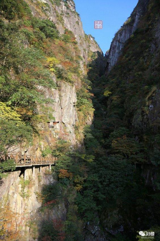 弹球扣篮